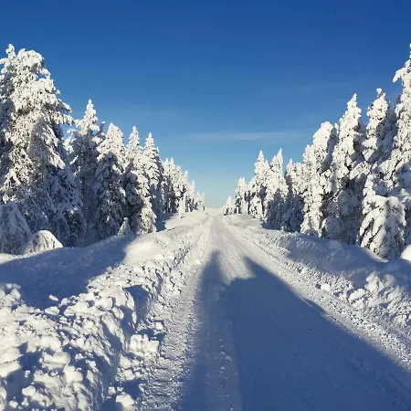 Maglelin Experience