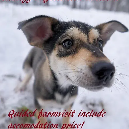 Villa Maglelin Experience Kittilä